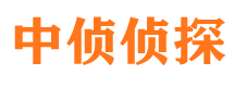 大祥市私家侦探